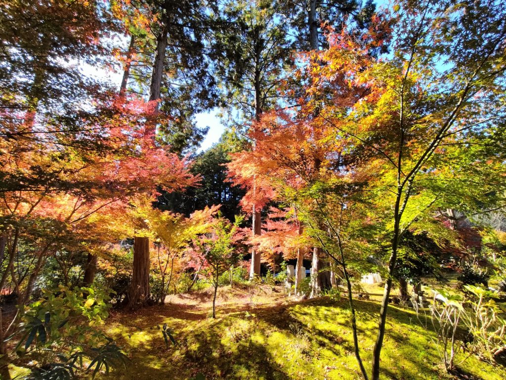 三重,度会,伊勢,紅葉,もみじ,國束寺